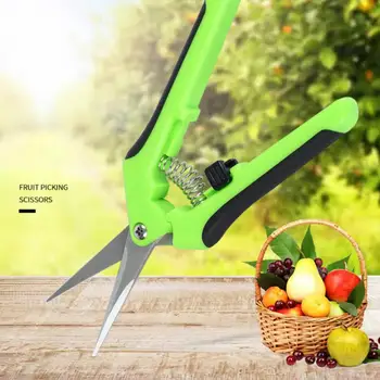 Градински ножици за подрязване на растения от неръждаема стомана, ножици за събиране на плодове и грозде, градински машинка за листа, преки инструменти за изрязване на лактите