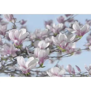 Стенни рисувани Magnolia
